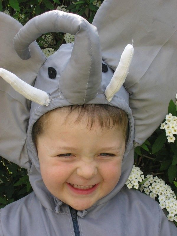 Thiago y Lucca: El Se�or Elefante,2